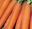 Морковь "САНЬКИНА ЛЮБОВЬ" гелевое драже