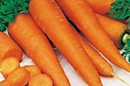 Морковь сочная и сладкая